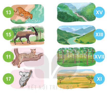 Giải toán 3 kết nối bài 47: Làm quen với chữ số La Mã