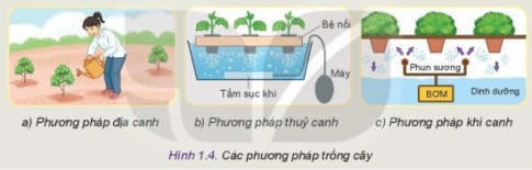 Giải bài 1 Công nghệ và đời sống