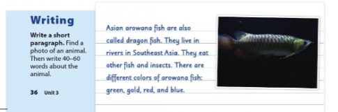 [Cánh Diều] Soạn tiếng Anh 6 Unit 3: Where's the shark?