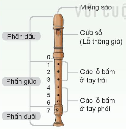 2. Nhạc cụ giai điệu